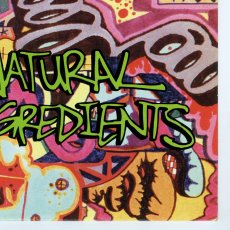 画像9: Luscious Jackson / Natural Ingredients [US Orig.LP][12inch | Grand Royal]【ユーズド】 (9)