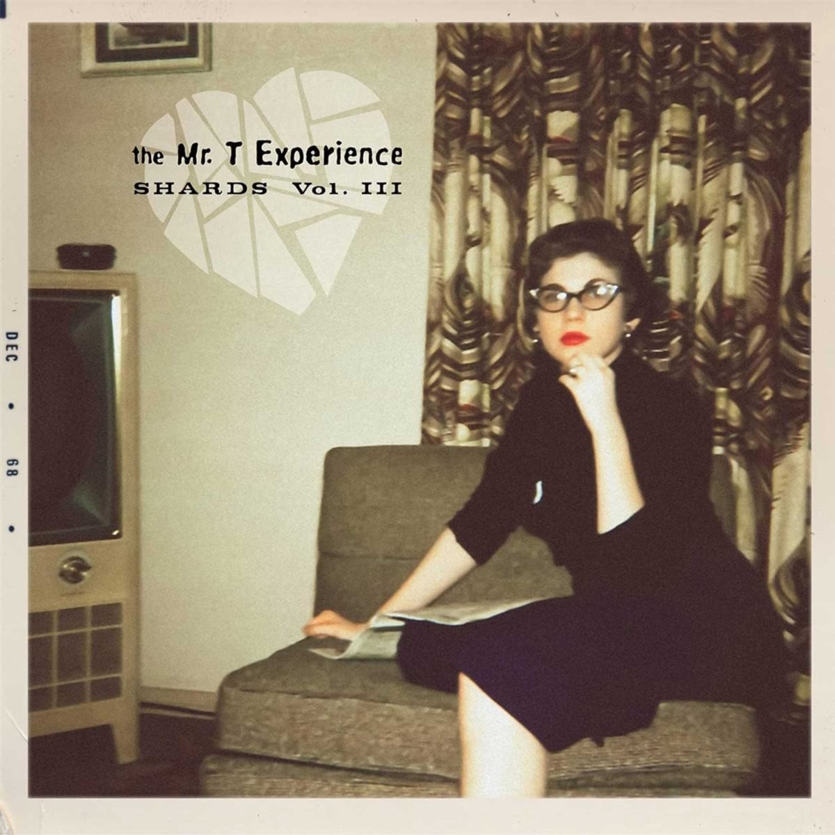画像1: The Mr. T Experience / Shards Vol 3. [US Reissue LP | Sea Glass] [12inch | Sounds Rad]【新品】 (1)