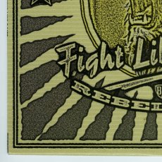 画像7: The Butlers / Fight Like A Lion [Germany Orig.LP] [12inch | Grover]【ユーズド】 (7)