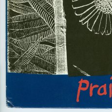 画像11: 7 Seconds / Praise. [US Org.LP] [12inch | Positive Force]【ユーズド】 (11)