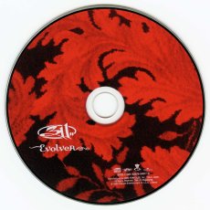 画像6: 【日本盤】311 / Evolver [JPN ORG.LP] [CD | BMG]【ユーズド】 (6)