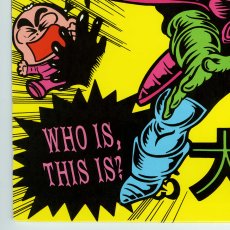 画像9: Voodoo Glow Skulls / Who Is, This Is? [US Orig.LP] [12inch | Dr. Strange]【ユーズド】 (9)