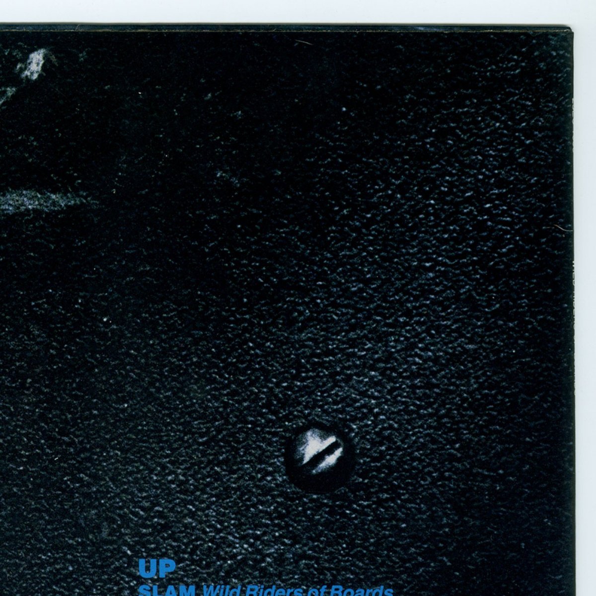 画像8: 【日本盤】V.A. / Skate Rock Volume 3 - Wild Riders Of Boards [JPN Orig.LP][12inch | Vice II]【ユーズド】 (8)