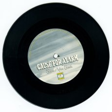 画像6: Cause For Alarm / Birth After Birth [US Orig.EP | Gatefold Sleeve][7inch x 2 | Victory]【ユーズド】 (6)