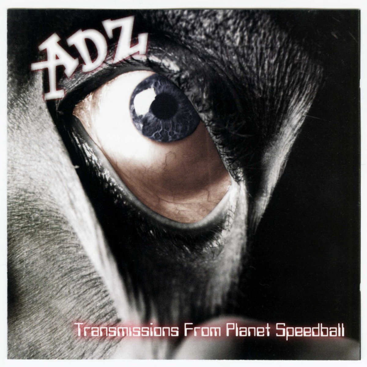 画像1: ADZ / Transmissions From Planet Speedball [US Orig.LP][CD | Amsterdamned]【ユーズド】 (1)