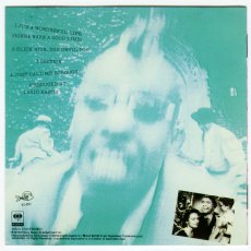 画像2: 【日本盤】Fishbone / It's A Wonderful Life (Gonna Have A Good Time) [JPN Orig.LP][CD | Sony]【ユーズド】 (2)