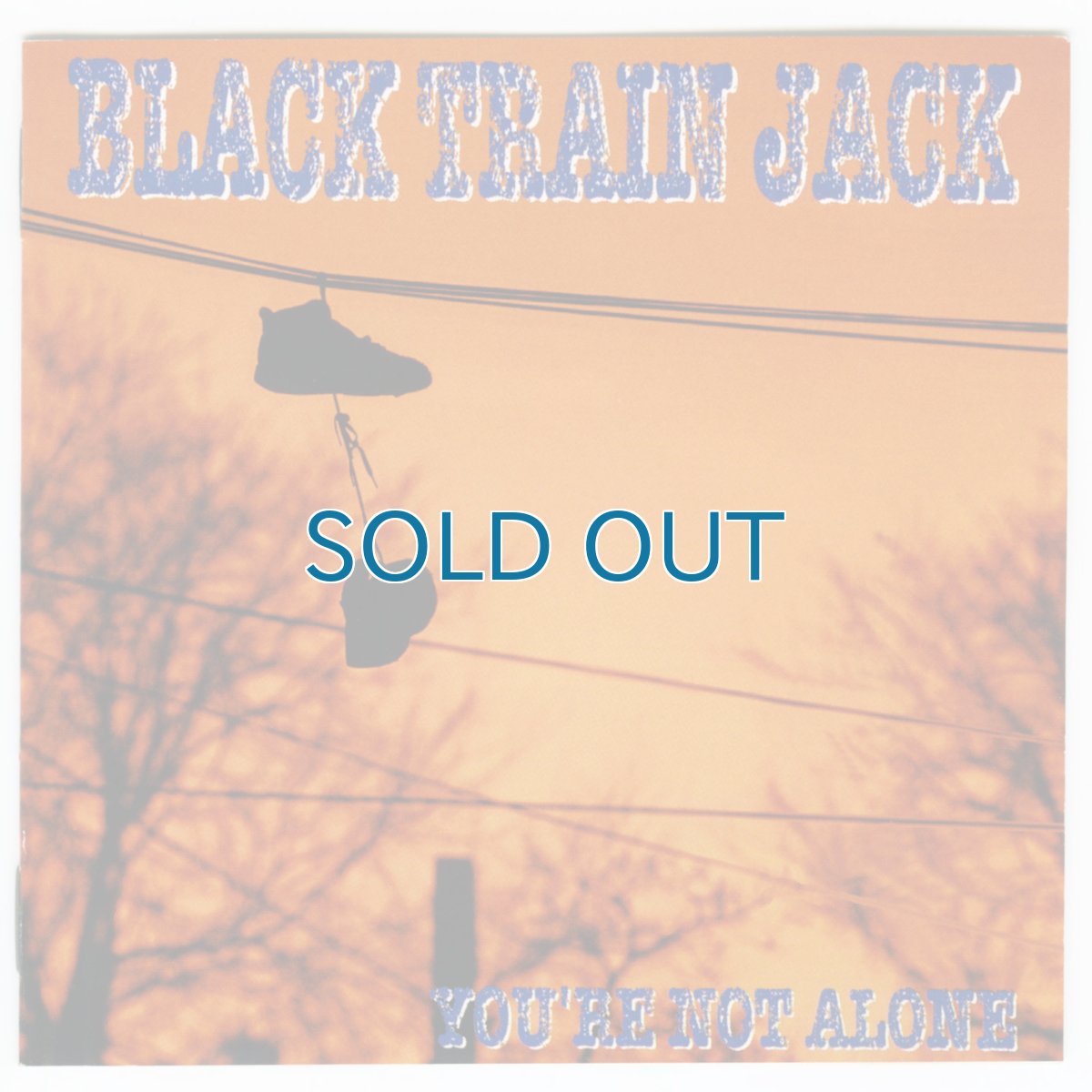 画像1: Black Train Jack / You're Not Alone [US Org.LP] [CD | Roadrunner]【ユーズド】 (1)