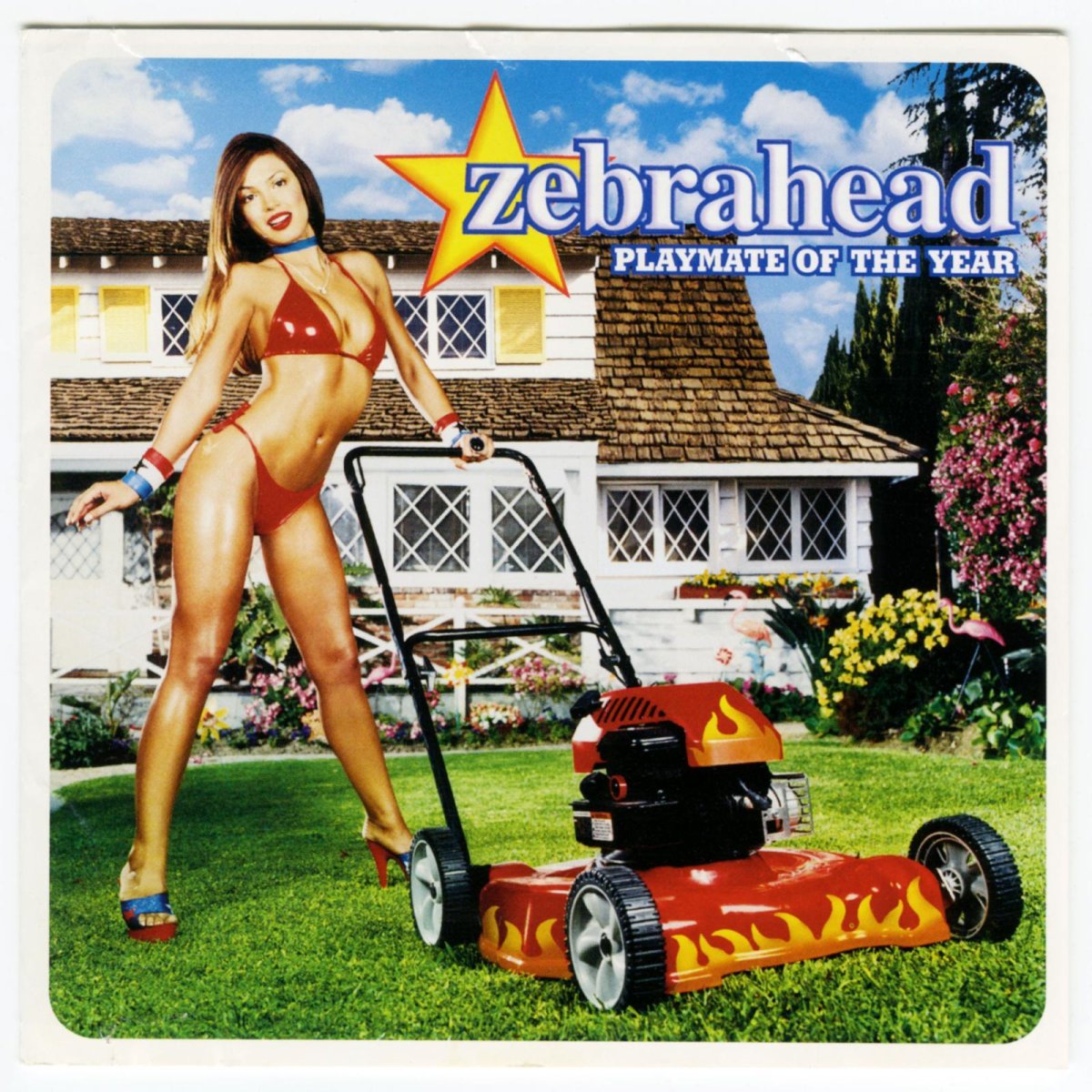 画像1: 【日本盤】Zebrahead / Playmate Of The Year [JPN Orig.LP][CD | Sony]【ユーズド】 (1)