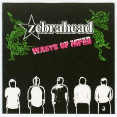 画像2: 【日本盤】Zebrahead / Waste Of MFZB [JPN Orig.LP][CD | Sony]【ユーズド】 (2)