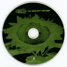 画像3: 311 / You Wouldn't Believe [US Orig.EP] [Promo CD | Volcano]【ユーズド】 (3)