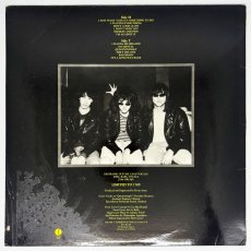 画像2: The Mr. T Experience / Road To Ruin [US Org.LP | Limited Edition] [12inch | Clearview]【ユーズド】 (2)