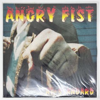 Hi-Standard / ANGRY FIST Tour 1997 T/S【Mサイズ】【ユーズド