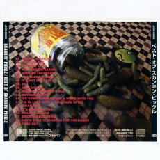 画像4: Skankin' Pickle / Best Of Skankin' Pickle [Japan Org.LP] [CD | Jimco]【ユーズド】 (4)