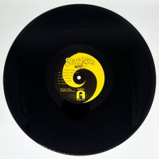 画像4: Squirtgun / Squirtgun [US Orig.LP][12inch | Lookout!]【ユーズド】 (4)