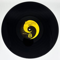 画像5: Squirtgun / Squirtgun [US Orig.LP][12inch | Lookout!]【ユーズド】 (5)