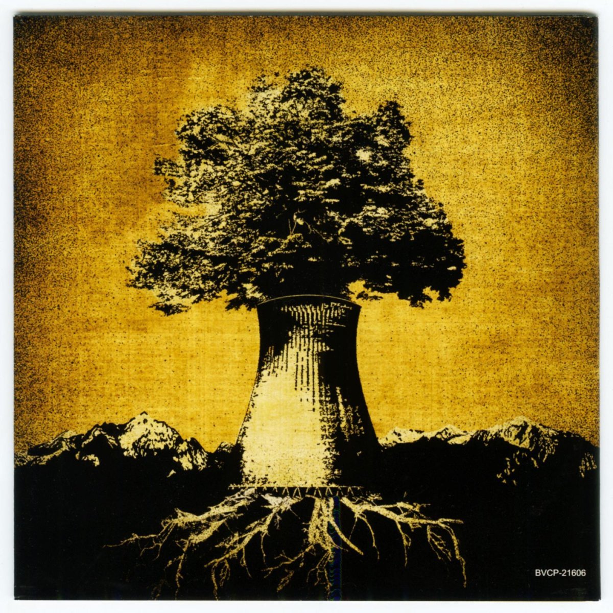 画像2: 【日本盤】Anti-Flag / Bright Lights of America [JPN Orig.LP][CD | BMG]【ユーズド】 (2)