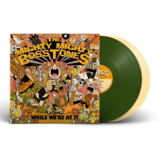 画像1: Mighty Mighty Bosstones / While We're At It [US Repress LP | Limited Edition | Green + Cream][12inch x 2 | Big Rig]【新品】 (1)