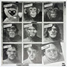 画像3: V.A. / Fat Music Vol. II: Survival Of The Fattest [US Orig.LP | Still in Shrink][12inch | Fat Wreck]【ユーズド】 (3)