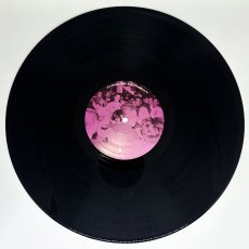 画像5: Down By Law / All Scratched Up! [US Orig.LP][12inch x 2 | Epitaph]【ユーズド】 (5)