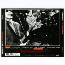 画像3: Chickenpox / Approved By The Chickenpox [Sweden Org.LP] [CD | Burning Heart]【ユーズド】 (3)