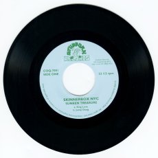 画像3: Skinnerbox / Sunken Treasure [US Org.EP][7inch | Stubborn]【ユーズド】 (3)