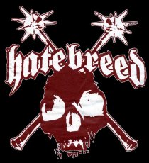 画像3: Hatebreed / Skull Logo T/S【送料無料】 (3)