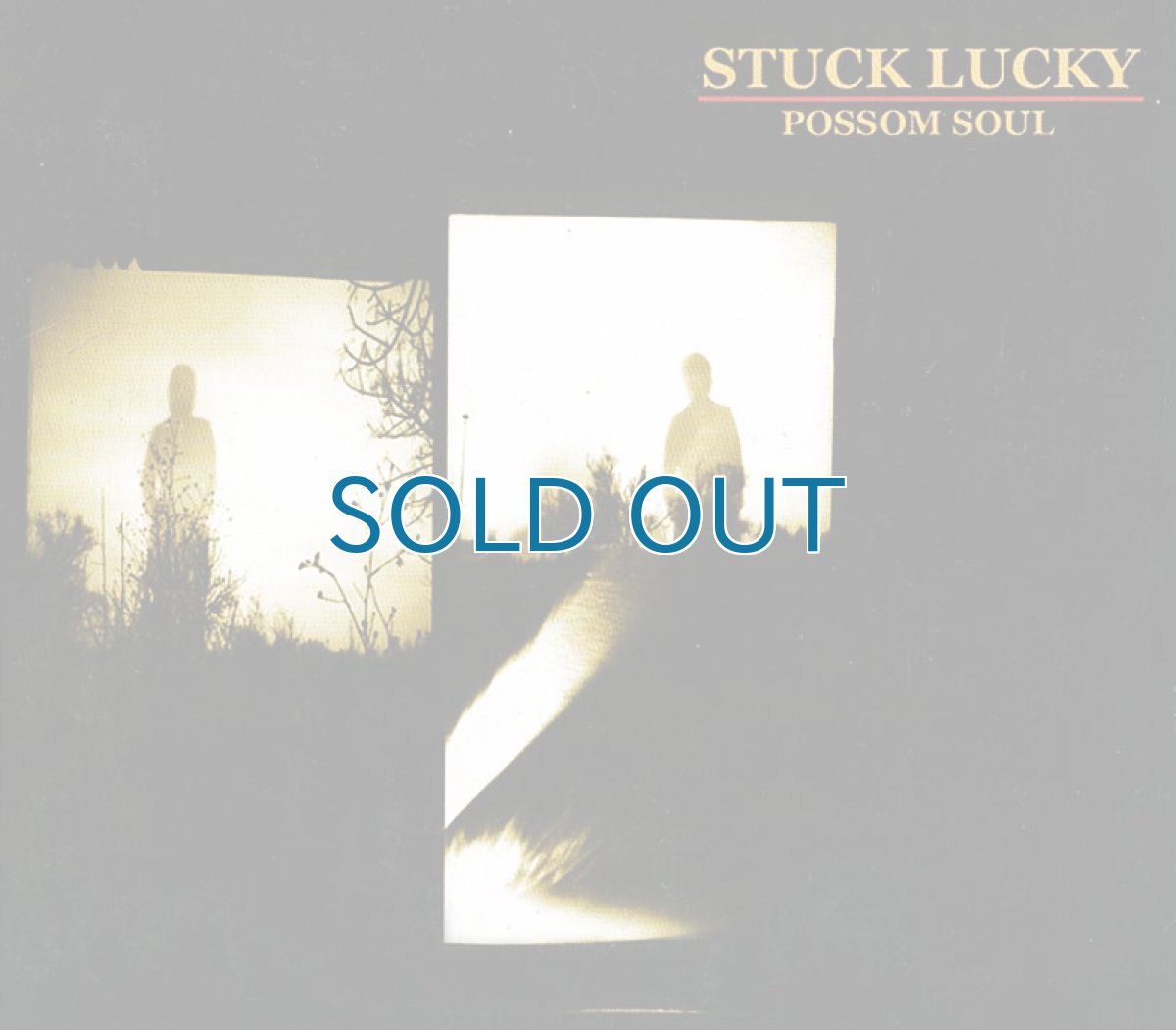 画像1: Stuck Lucky / Possom Soul (1)