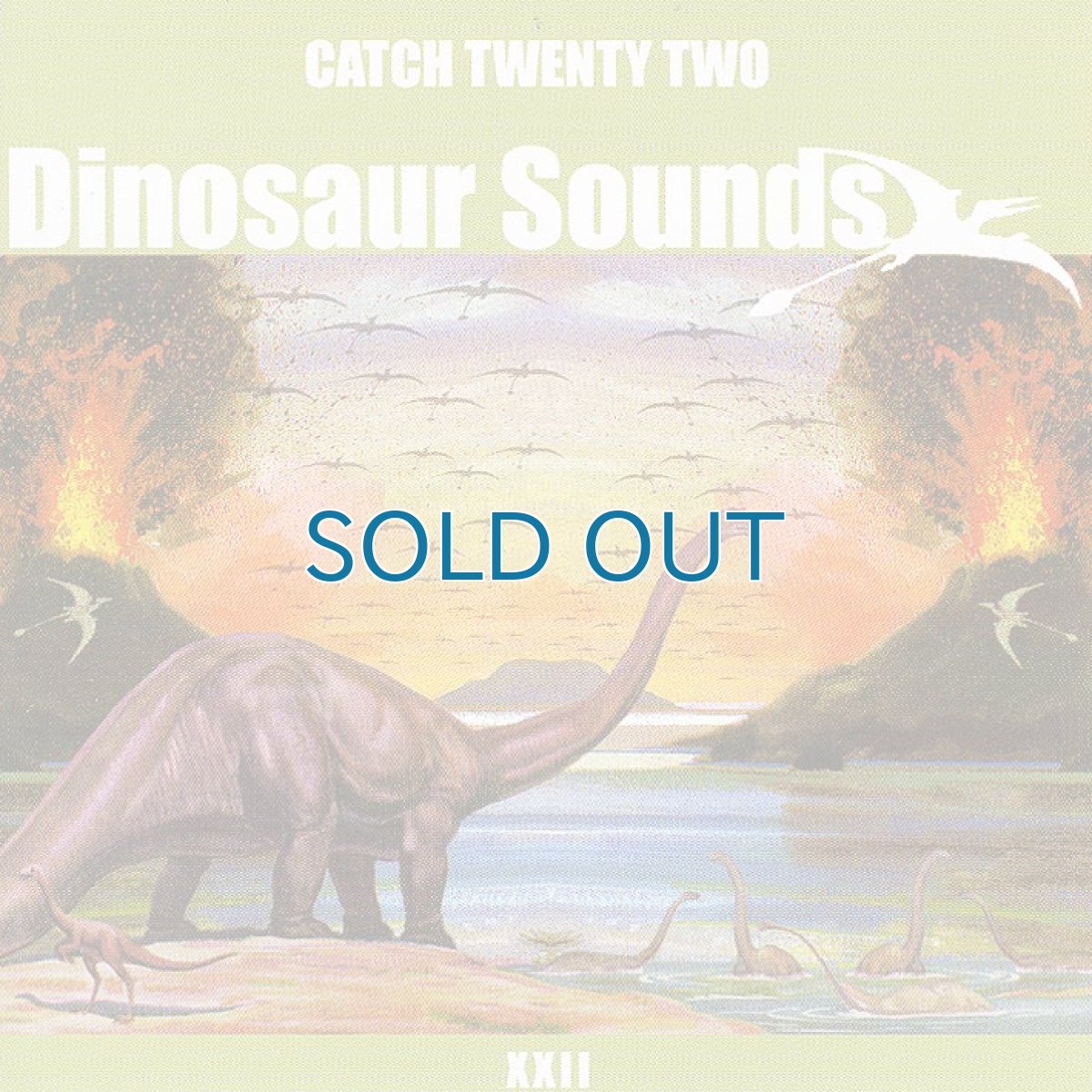 画像1: 【日本盤】Catch 22 / Dinosaur Sounds (1)