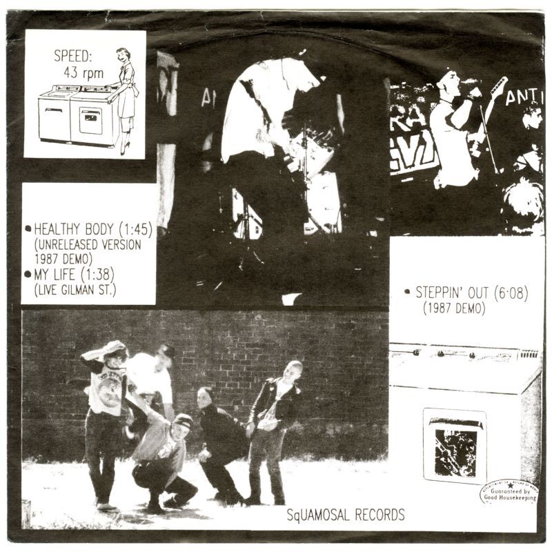 Operation Ivy / Lint: The King Of Ska [7inch アナログ]【ユーズド