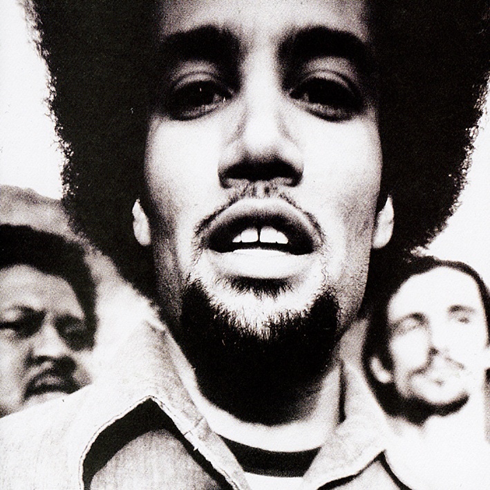 Ben Harper / The Will To Live [US Orig.LP][CD | Virgin]【新品】