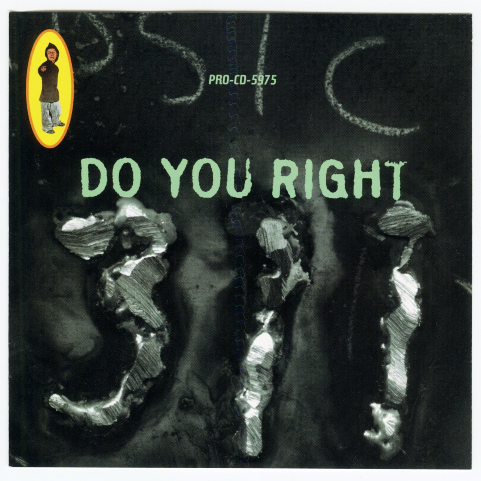 311 / Do You Right [Promo Single][US Orig.EP] [Promo CD | Capricorn]【ユーズド】